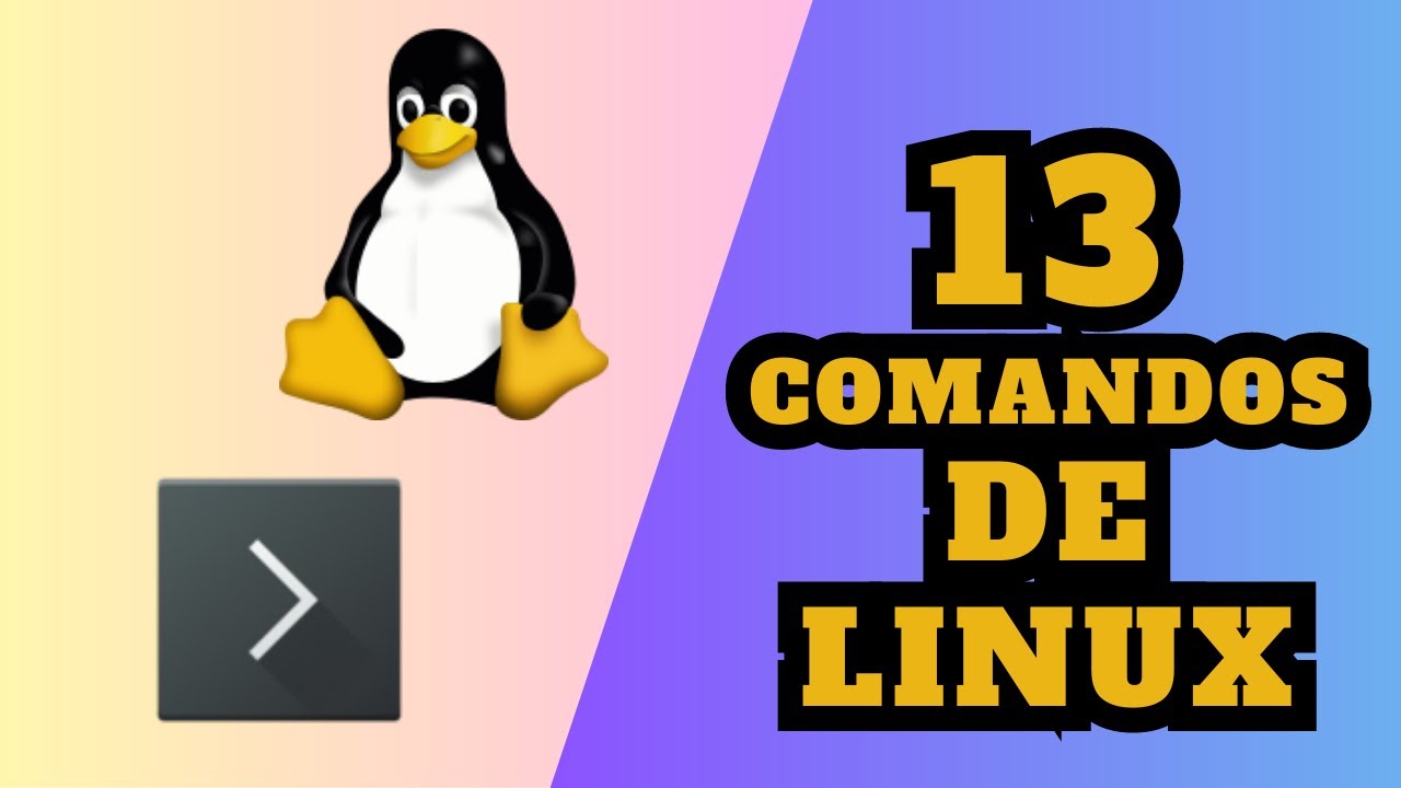 Linux ls: qué hace cada parámetro y cómo usarlo bien