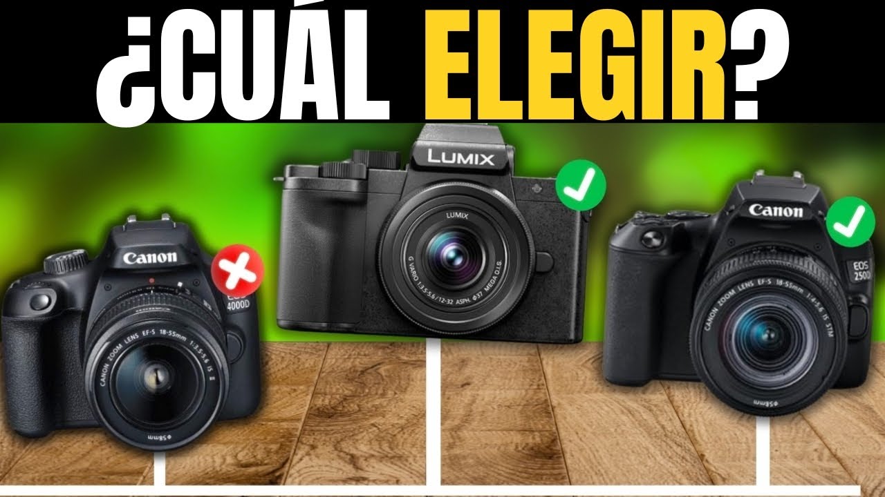 ¿Cuál es la mejor cámara réflex? Los mejores modelos según sus características