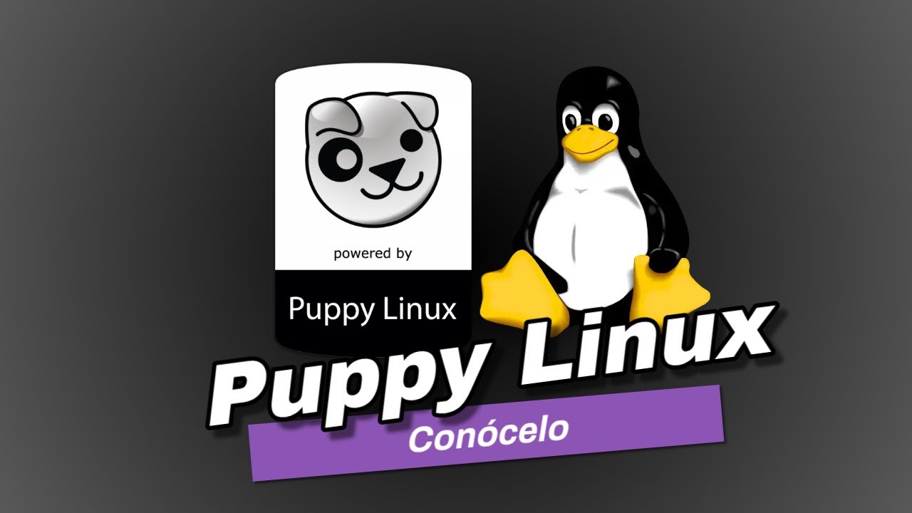 ¿Qué es Linux Puppy y cómo usarlo en tu PC?