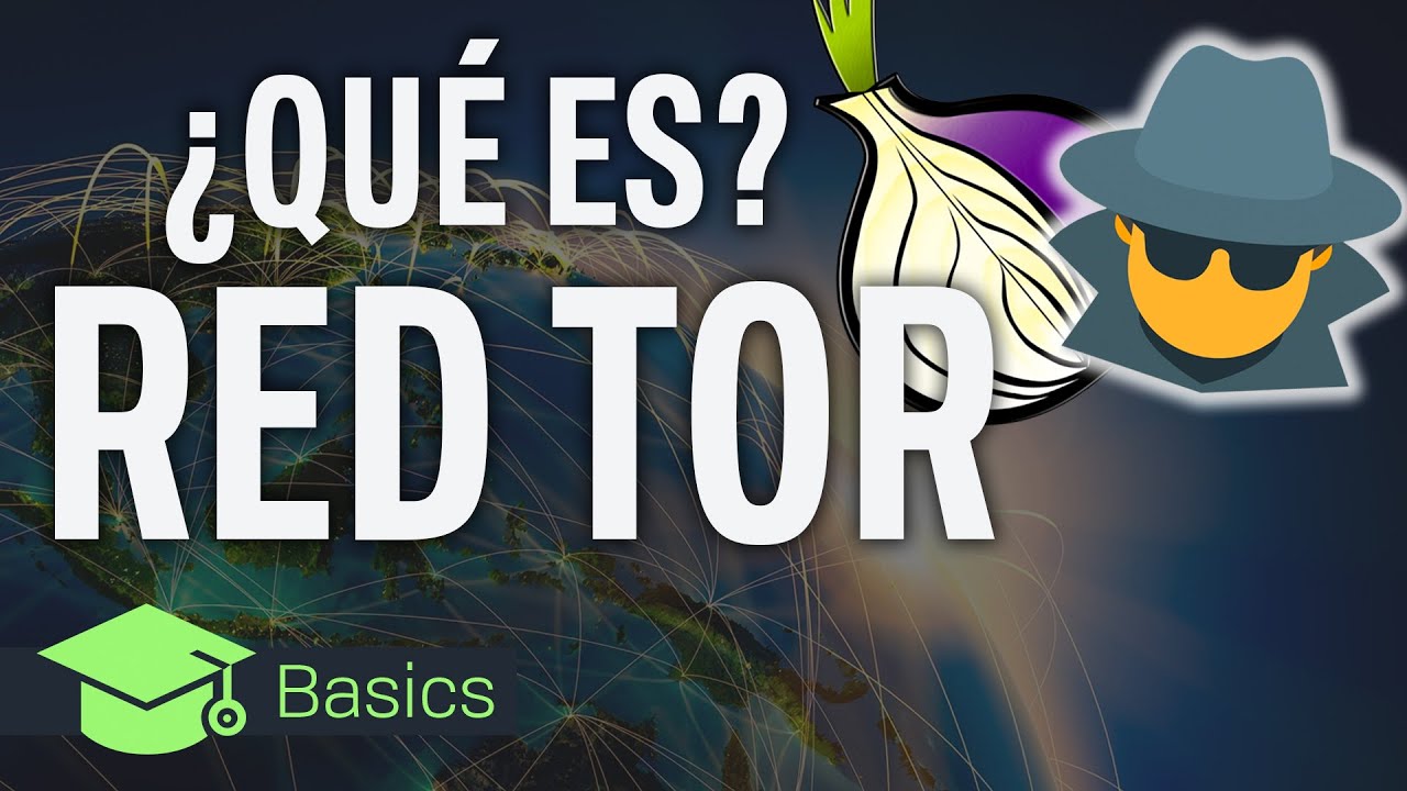 ¿Qué es Tor Browser y para qué se usa? Características y cómo funciona