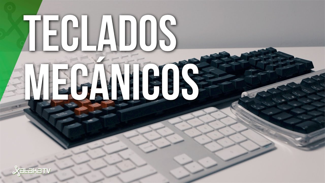 ¿Cuáles son los mejores teclados mecánicos según sus características?