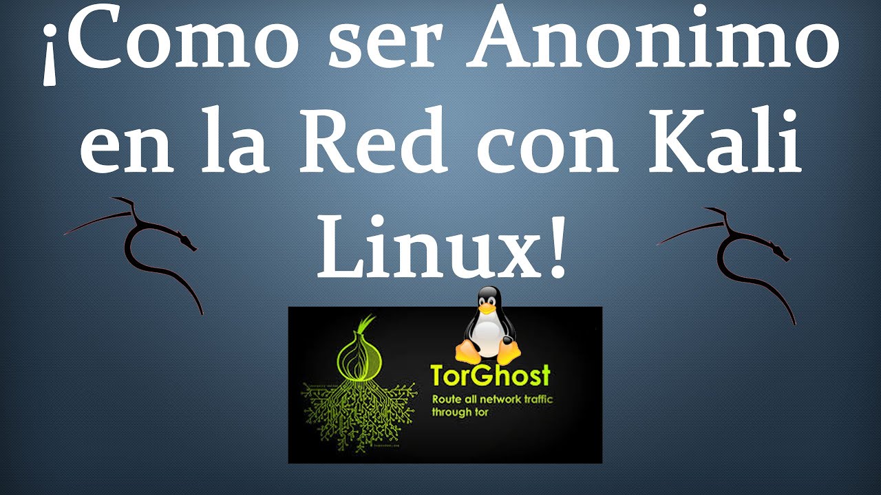 ¿Cómo configurar Kali Linux con Tor y navegar de forma anónima?