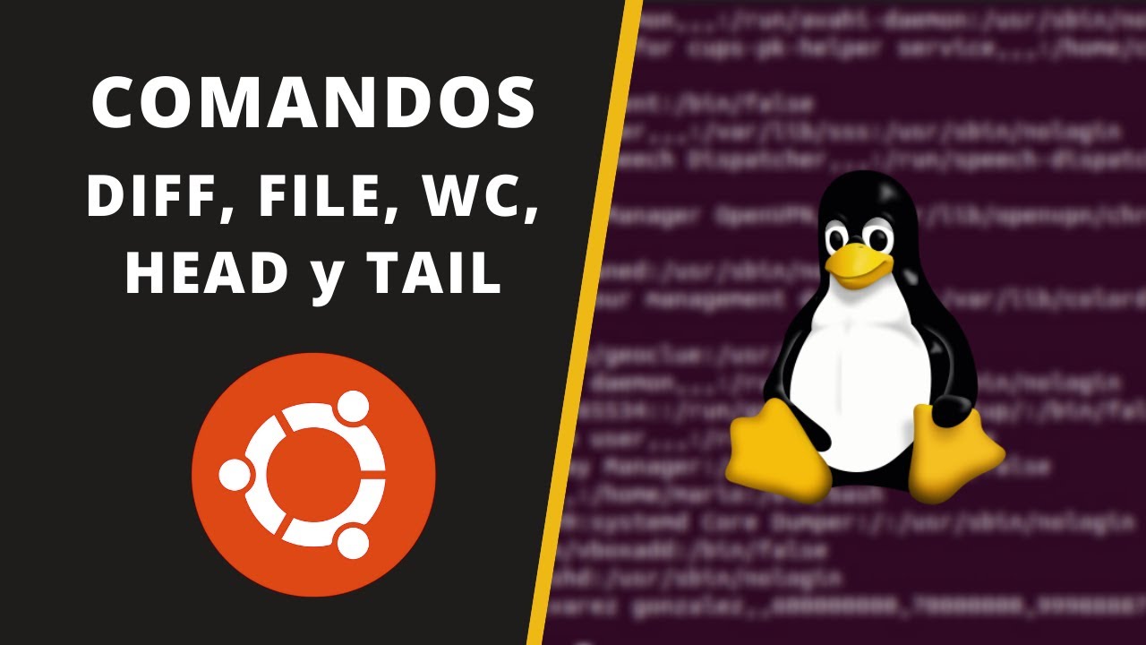 ¿Qué es el head en Linux y cómo sacarle partido en la terminal?